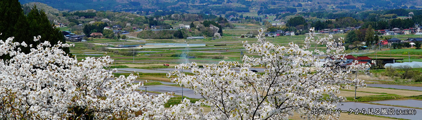 ポケットパークから見る風景（大玉村）春