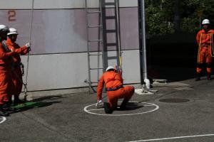はしご登はん